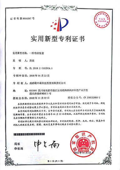 实用新型专利证书